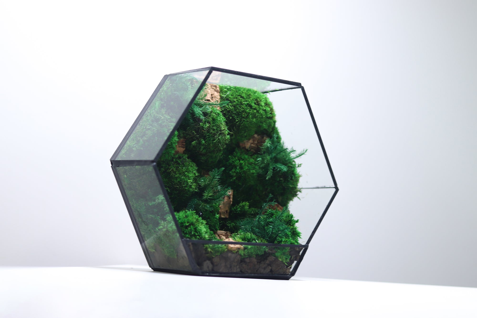 TR-31 Hexagon