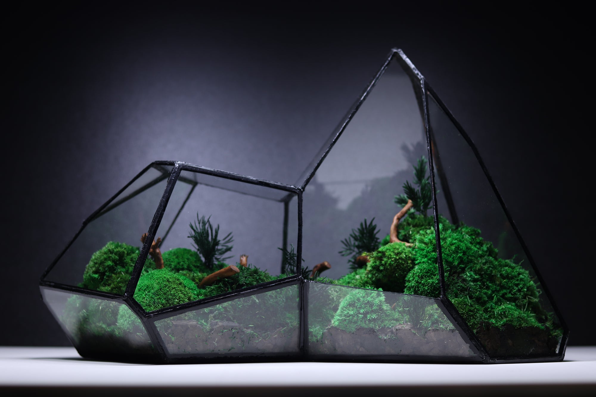 TR-10 Mountain
