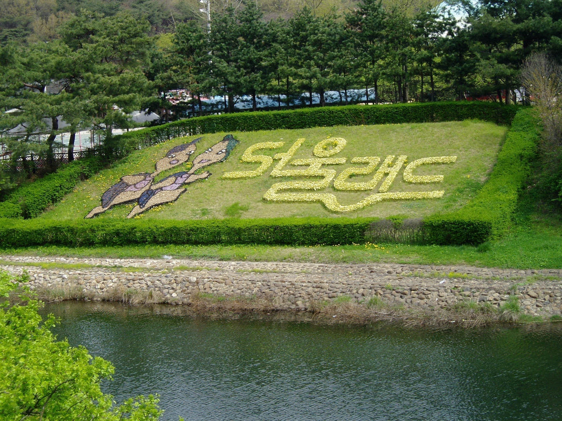 서울랜드, 아이덴티티 캐릭터 및 초대형 로고 토피어리 설치로 브랜드 이미지 강화