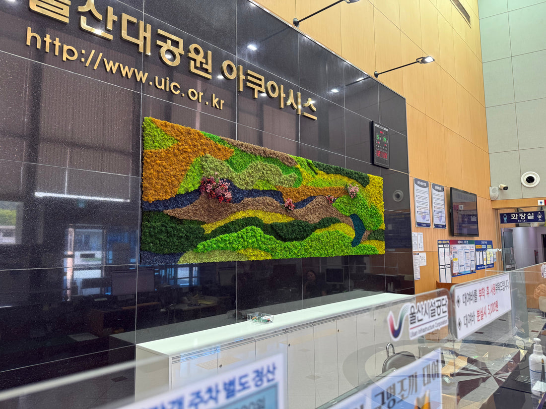 울산대공원 아쿠아시스 – 물과 생명의 리듬을 닮은 기하학적 모스 디자인