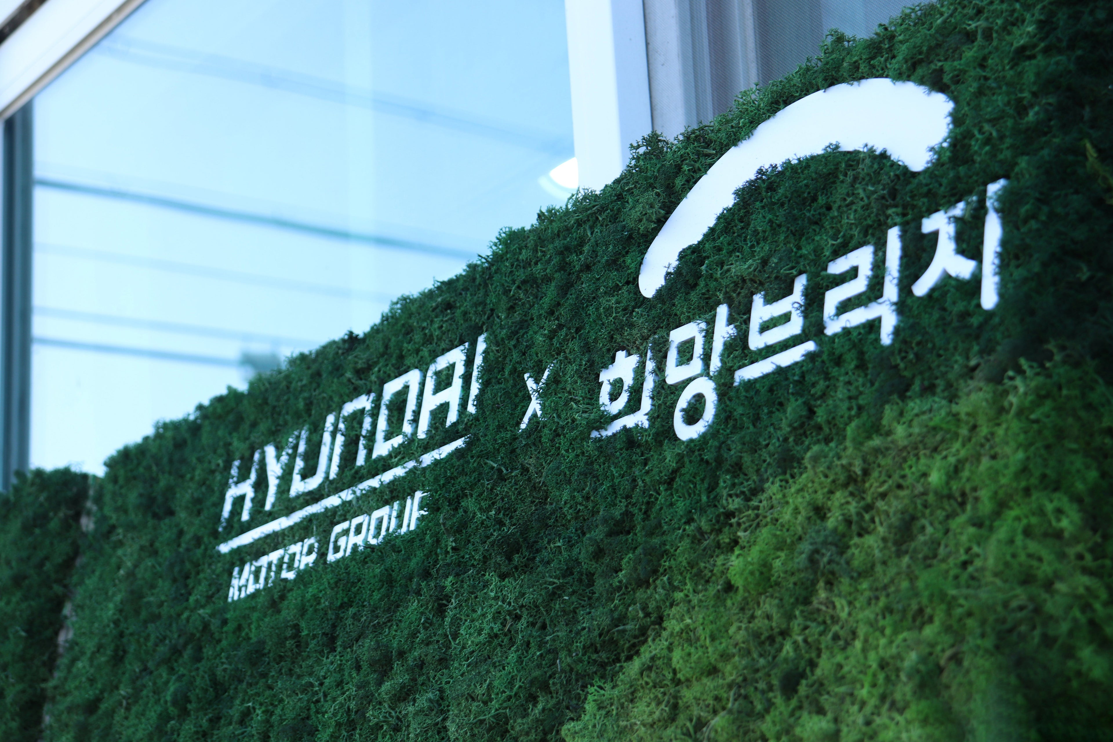 현대자동차그룹, 전국 복지시설 및 아동센터 40개소에 자연을 심다