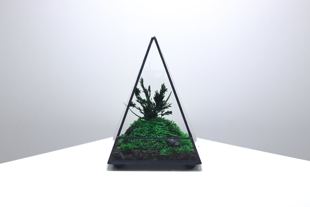 TR-30 Pyramid