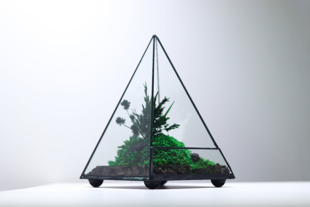 TR-30 Pyramid