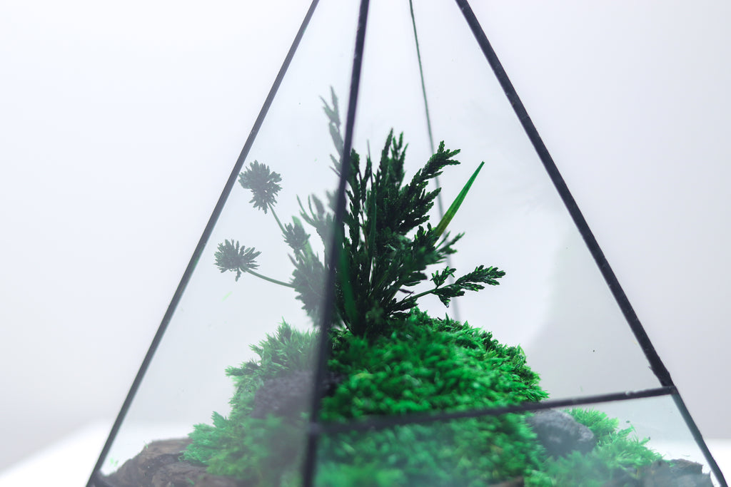 TR-30 Pyramid