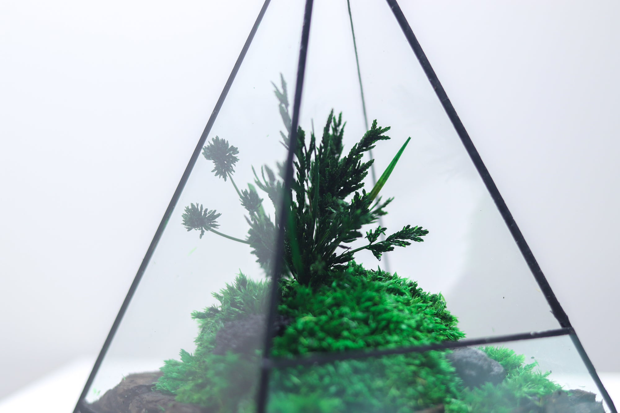 TR-30 Pyramid