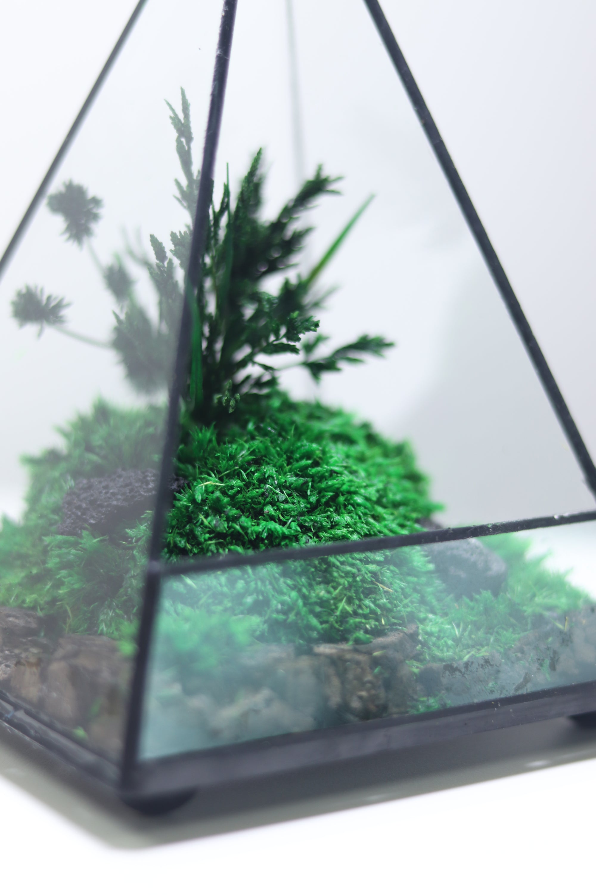 TR-30 Pyramid