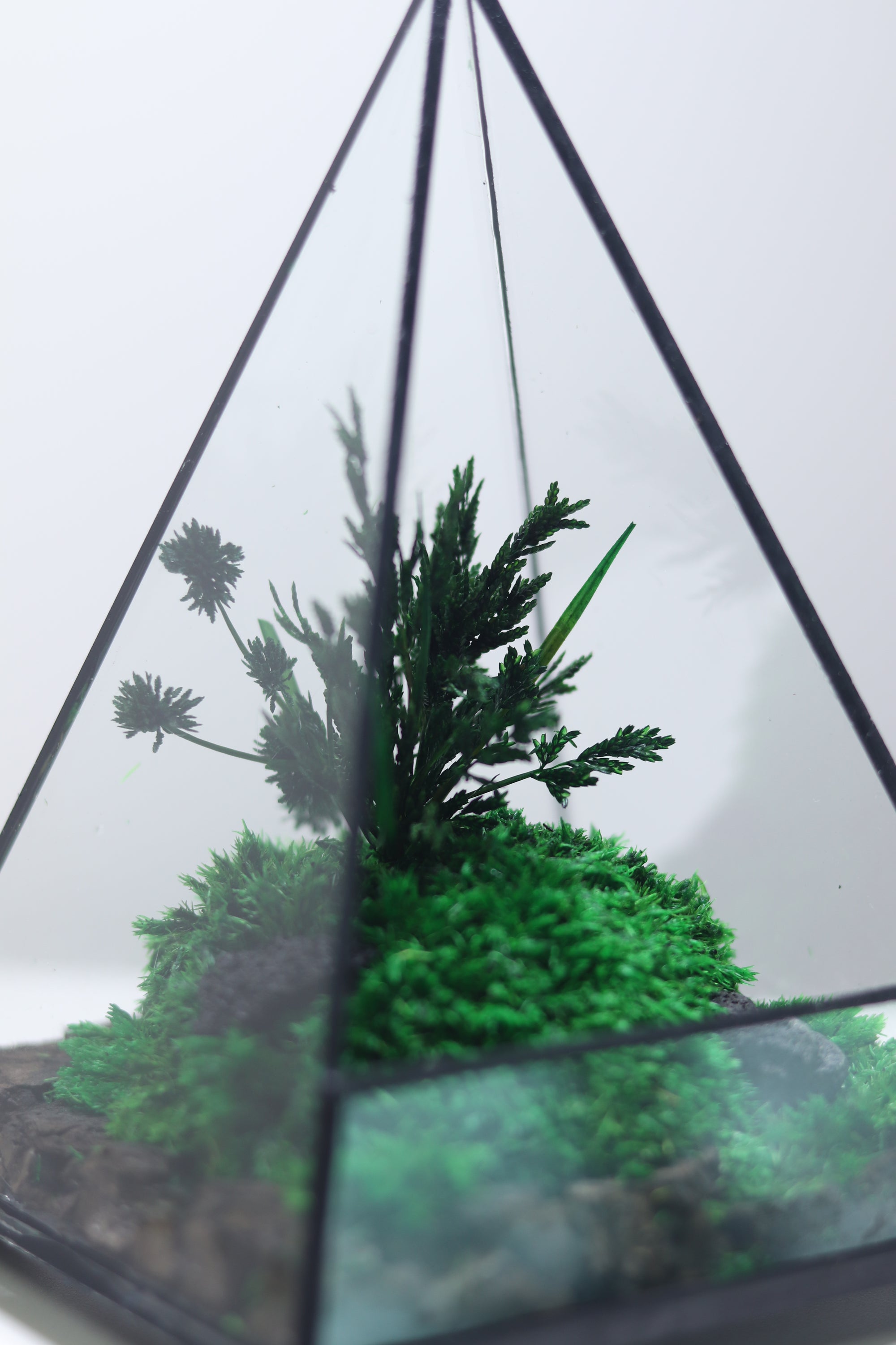 TR-30 Pyramid