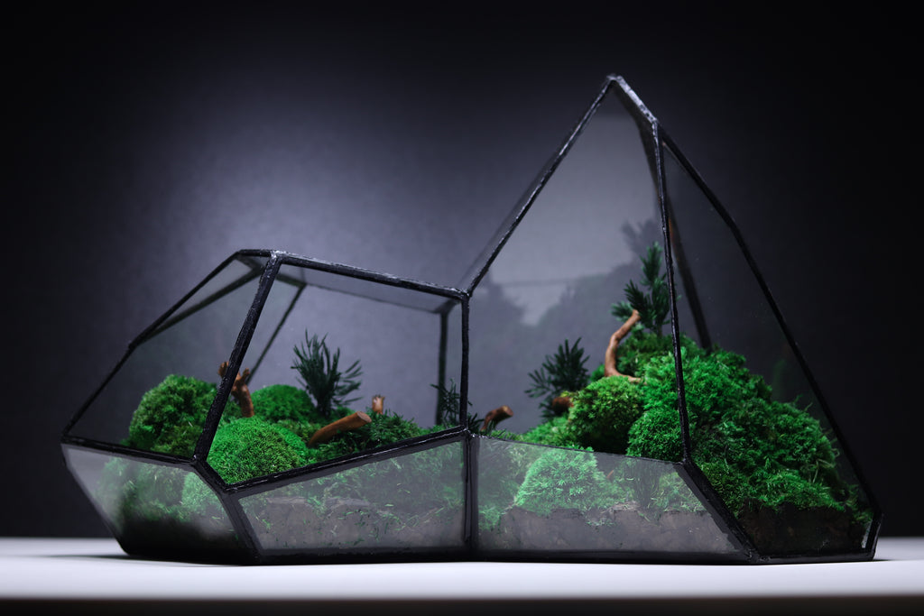 TR-10 Mountain