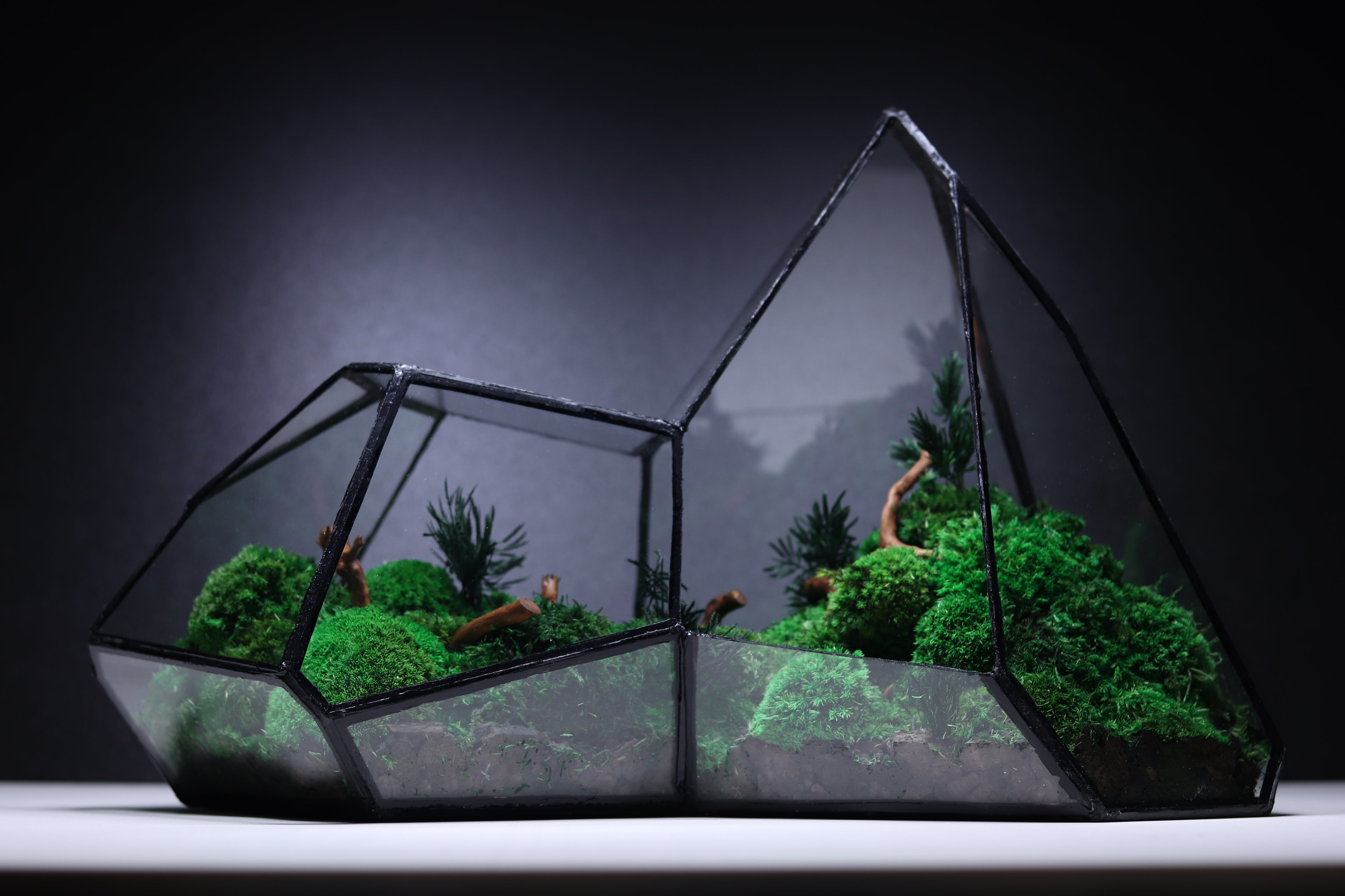 TR-10 Mountain